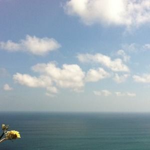 Meet your Posher, Victor